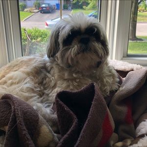 Meet your Posher, Ann